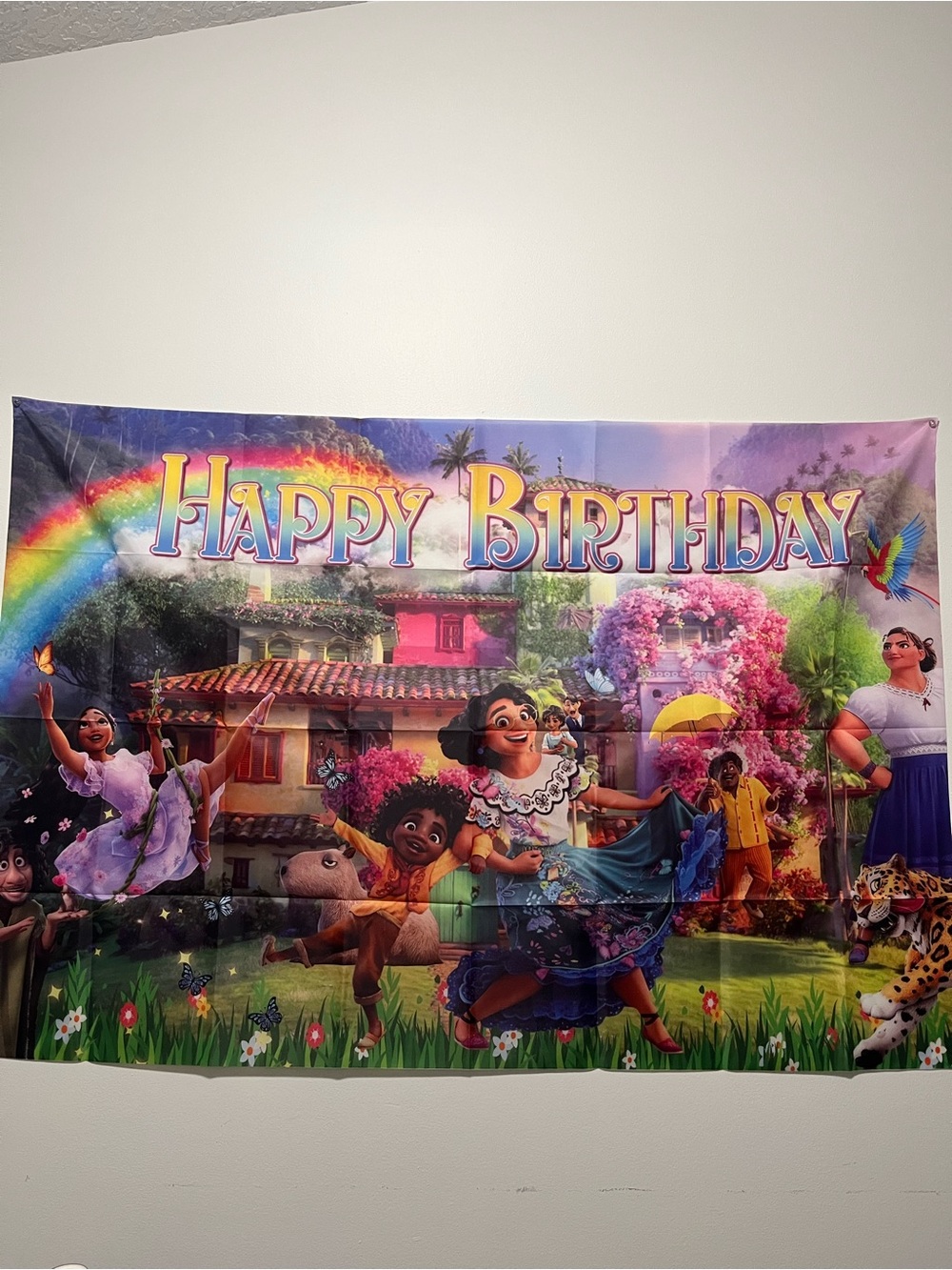 Disney Encanto Happy Birthday Banner - Purple, Pink, Green, Blue, Yellow